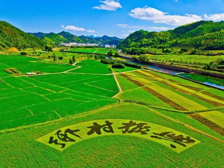 文旅产业全面下沉市场，文旅拼多多时代来临