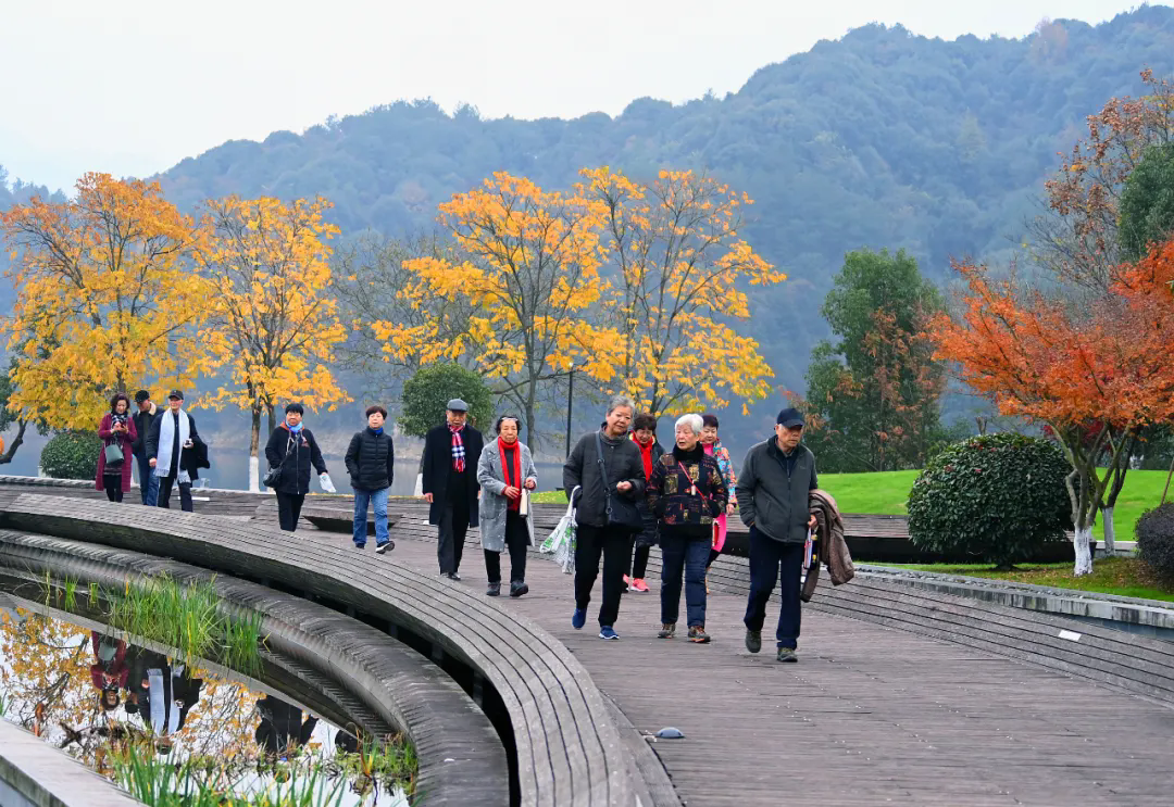 银发旅游市场潜力大，到底该怎么做？