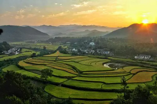 从大景区到小村庄，“乡味”旅游为何亮眼？