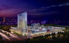 商业地产招商组织与实施
