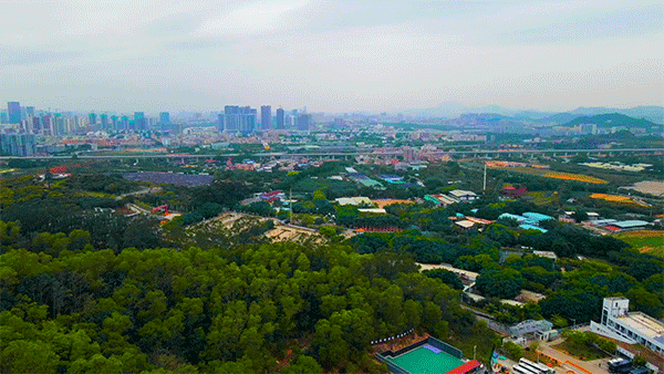 一个敢想一个敢建，盘点国内六大创意玻璃桥